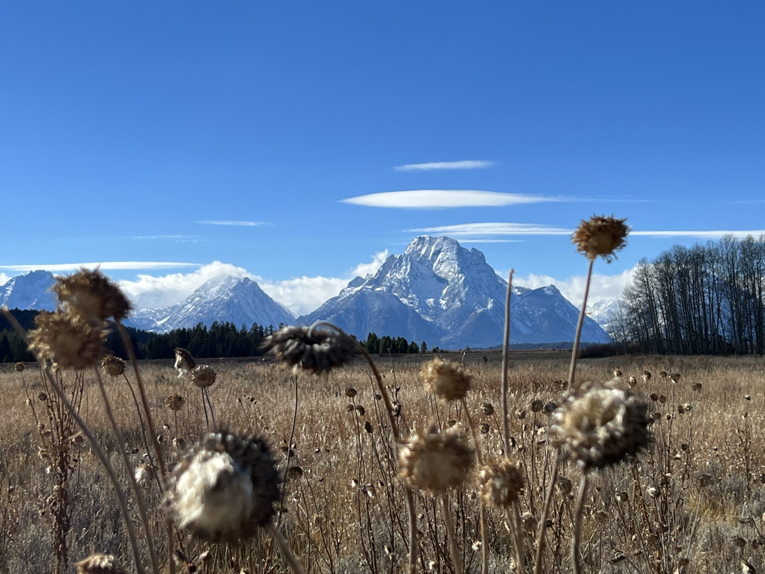 Grand Mountains