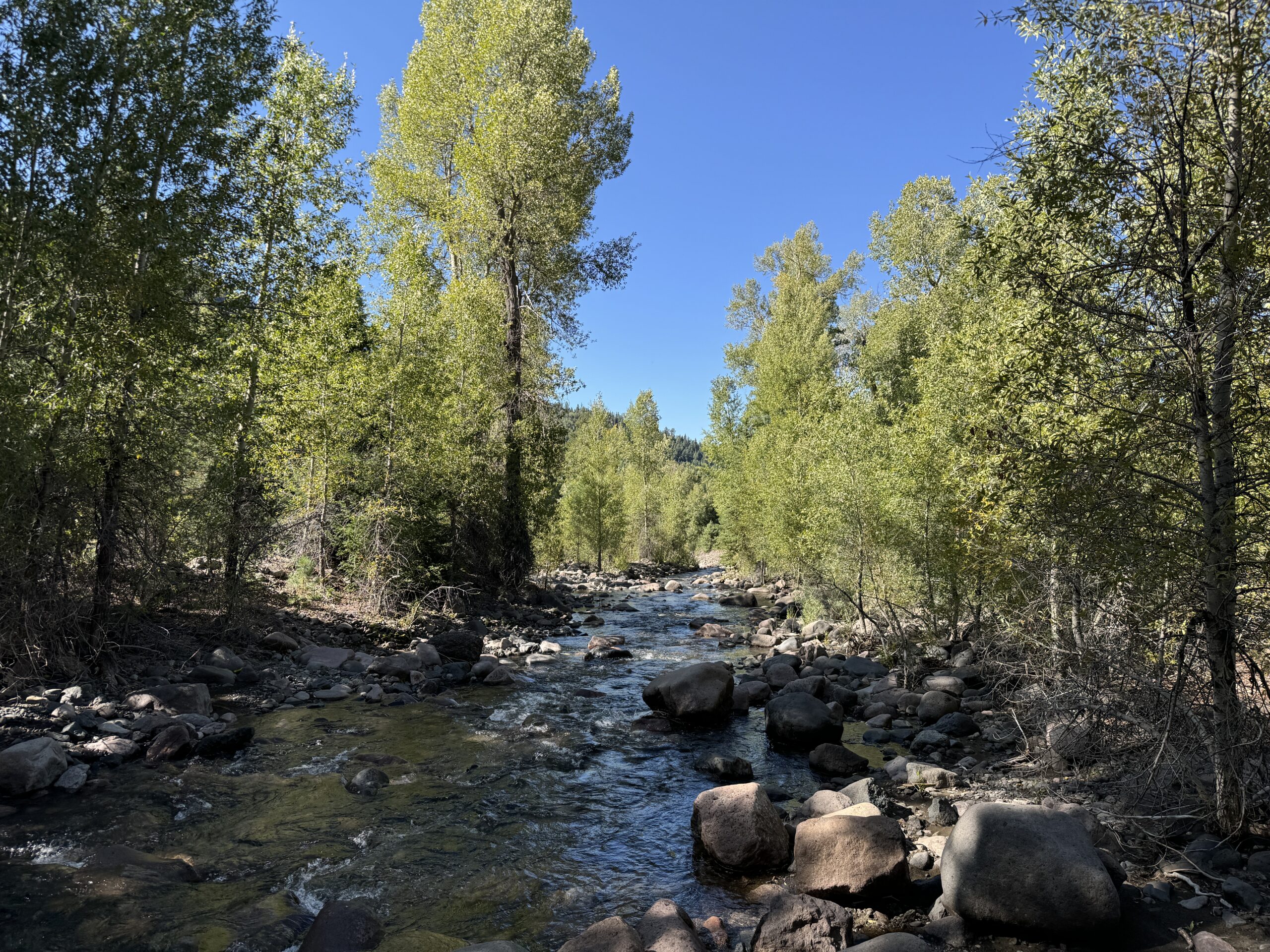 Waterfall Hike