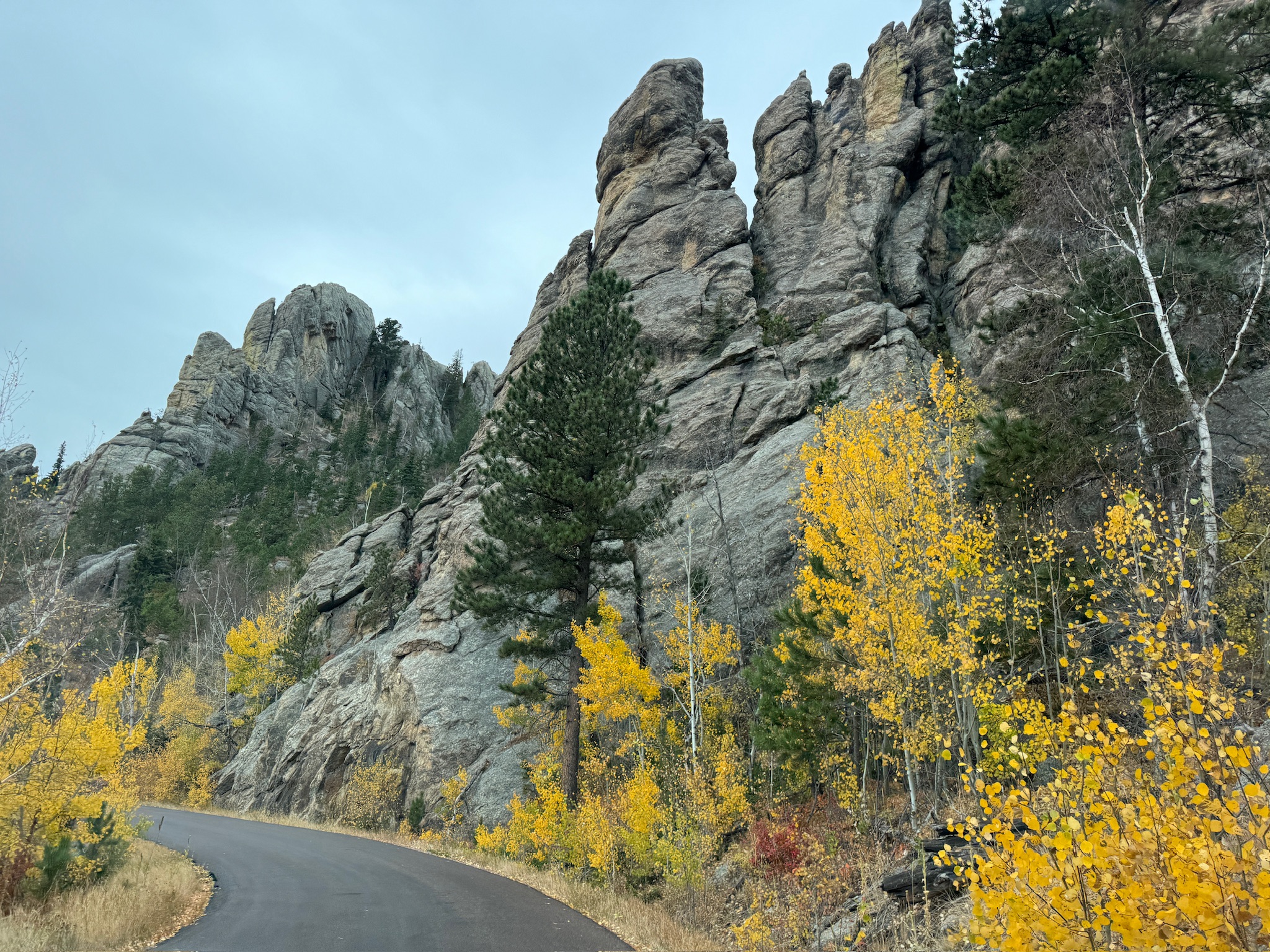 Custer State Park